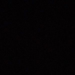 Meet your Posher, Lacey